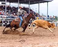 Cheyenne, WY