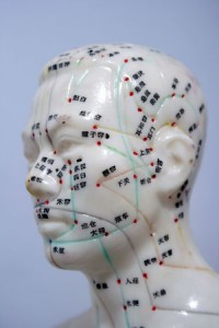 Head Model of Acupuncture Meridians